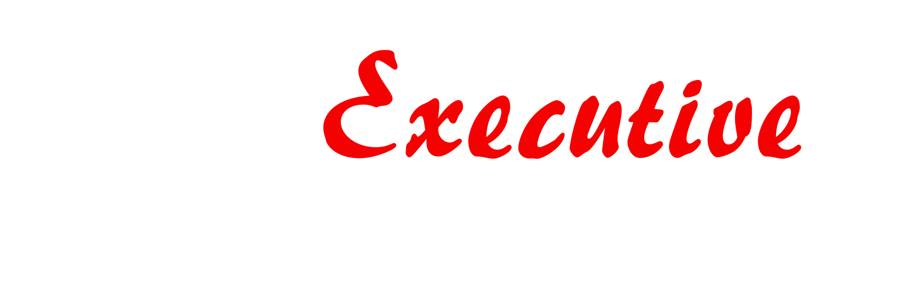 Executive Properties, LLC